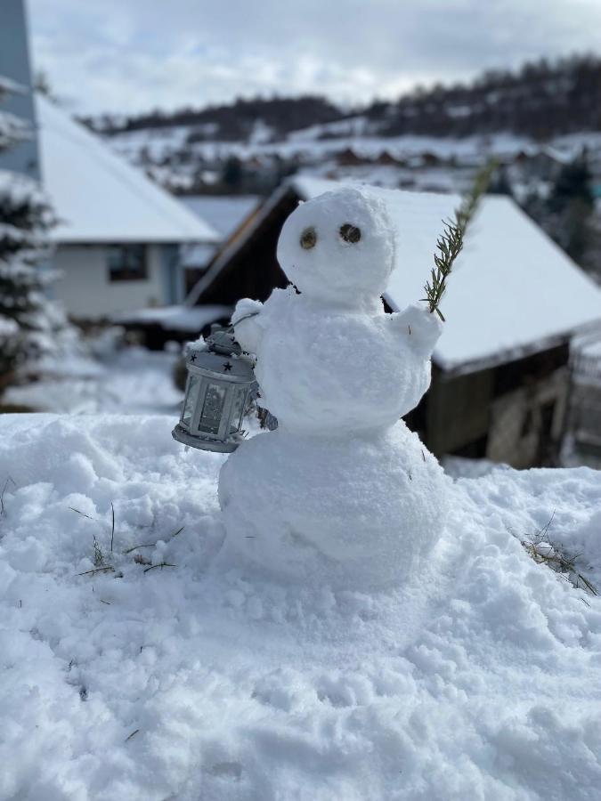 Domcek V Strani Villa Mýto pod Ďumbierom Buitenkant foto
