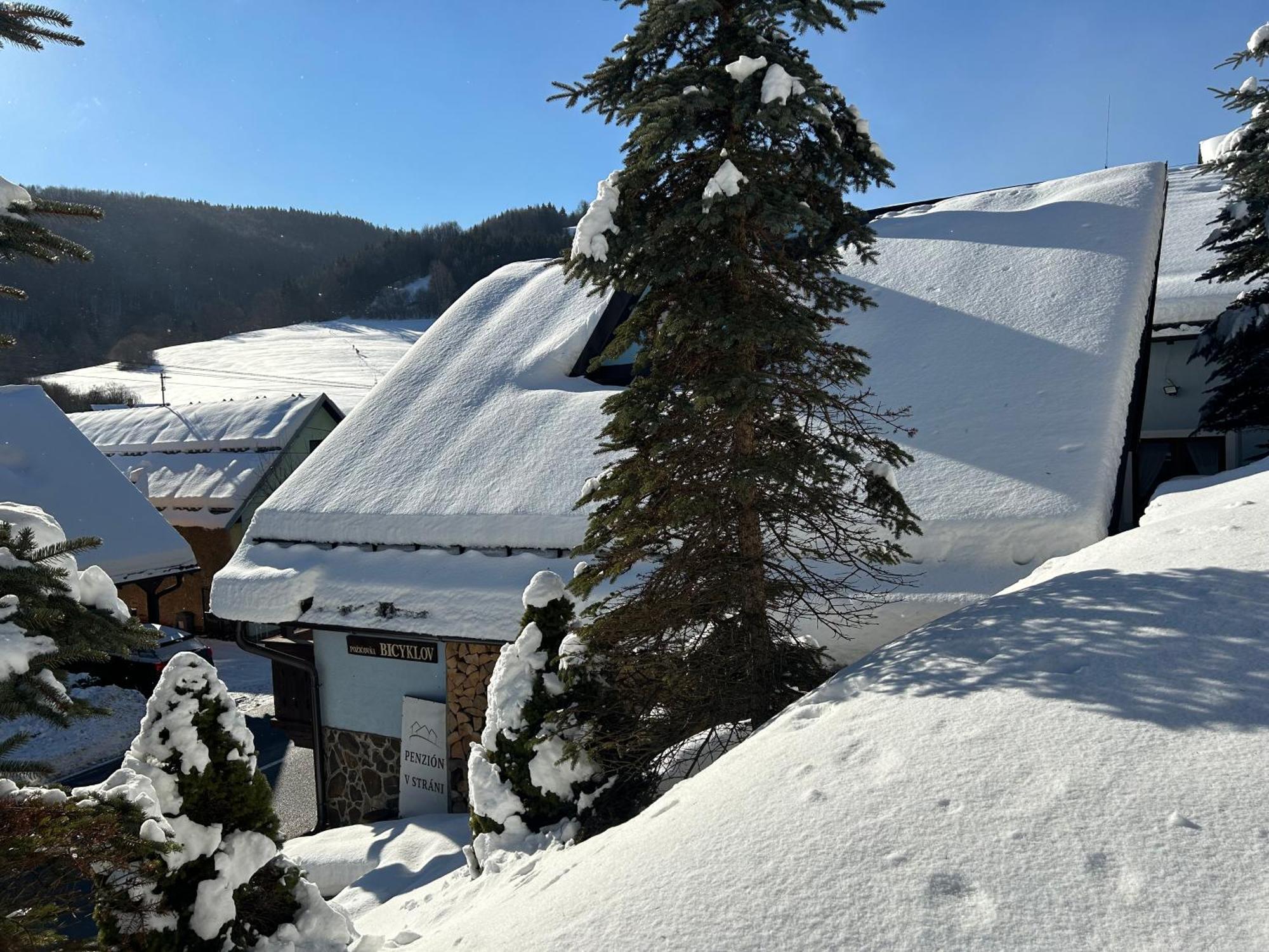 Domcek V Strani Villa Mýto pod Ďumbierom Buitenkant foto